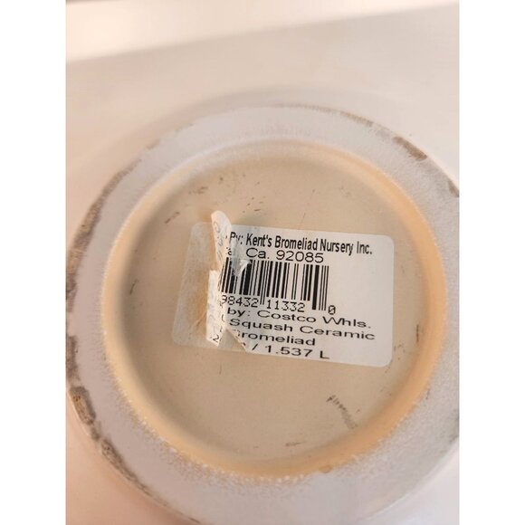 Ceramic White Oval Bowl By Kents Bromeliad Nursery 6"x8"x4" Decorative Vase - Picture 11 of 11